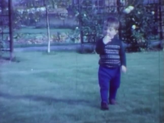 Little boy eats an apple in the garden
