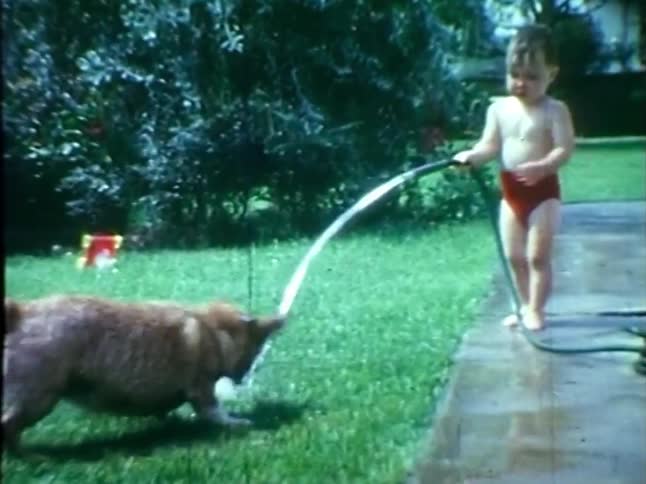 A toddler plays with his dog and a hosepipe