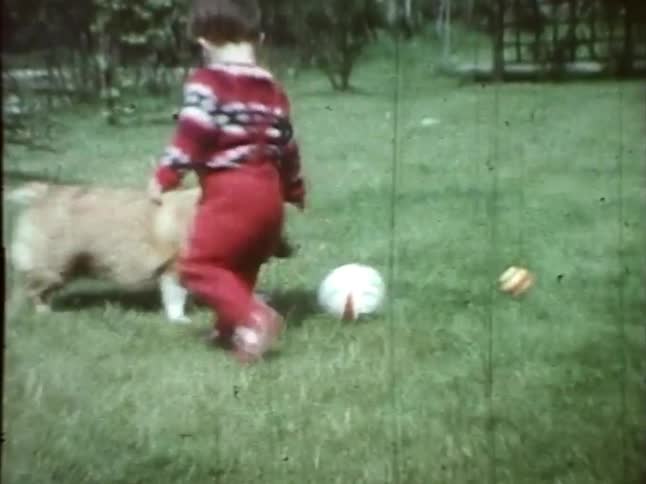 A toddler and dog play in the garden
