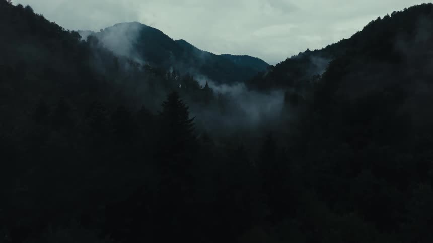 Aerial view of a foggy valley forest