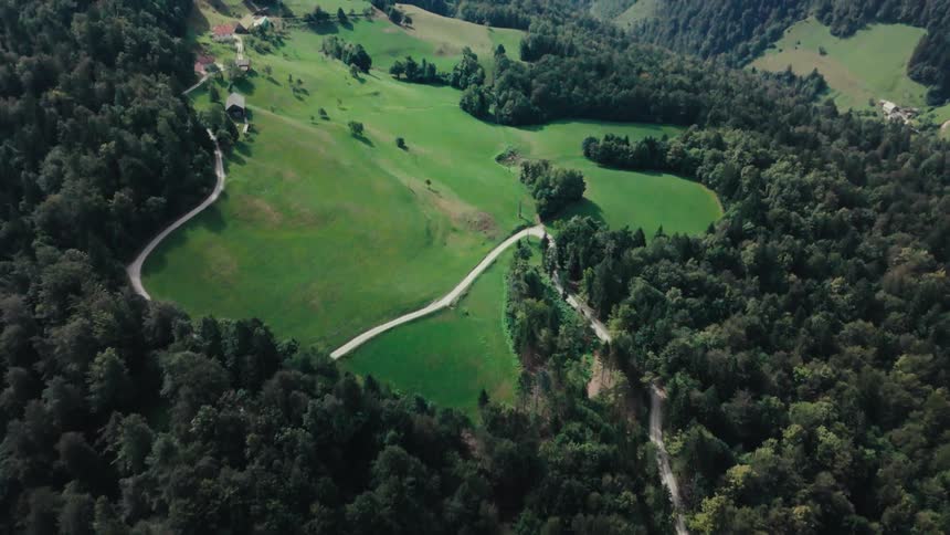 A lush green landscape with rolling hills and a dense forest with a winding road