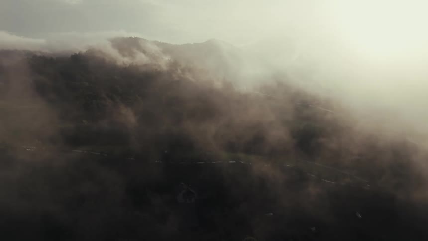 Smoke is flowing from the trees on the mountain