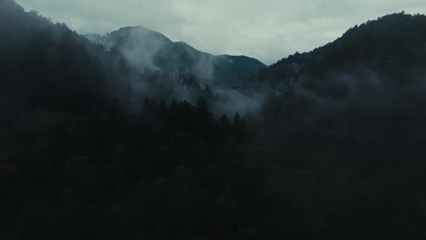 Mountain valley covered by forest trees and with fog around