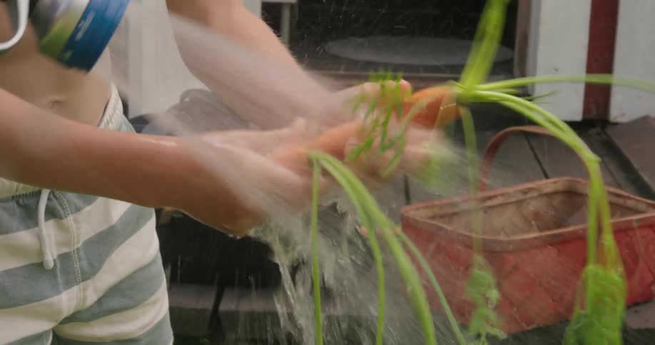 Two people one of them a teenager using a garden hose to watch two carrots from their garden