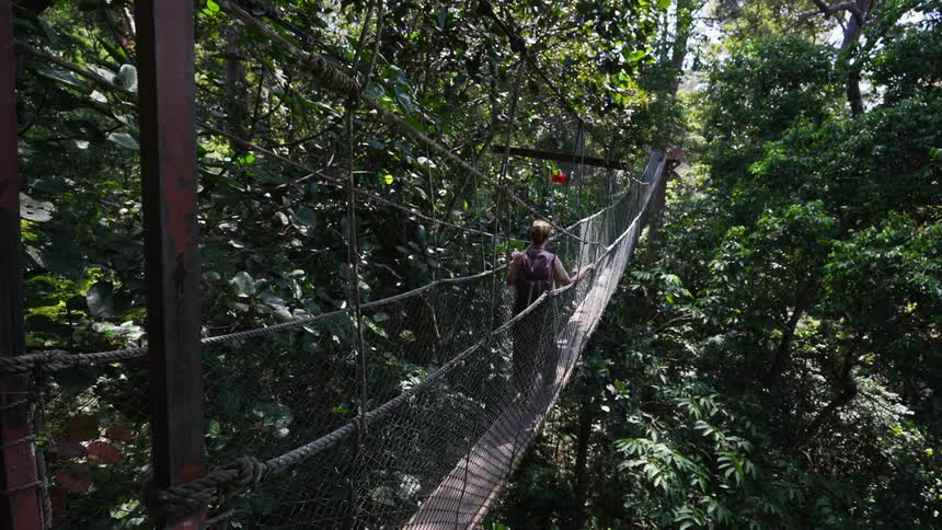 Woman crossing a bridge in the middle of a forest