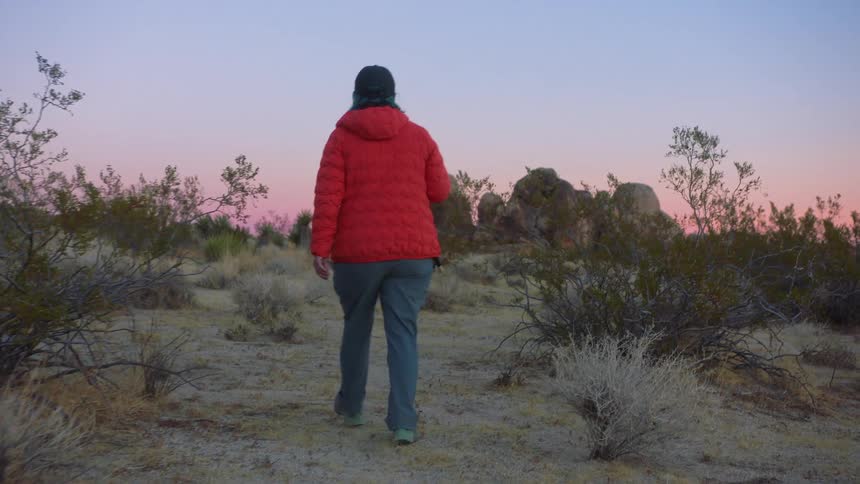 A person in a red jacket walks through a desert landscape at sunset