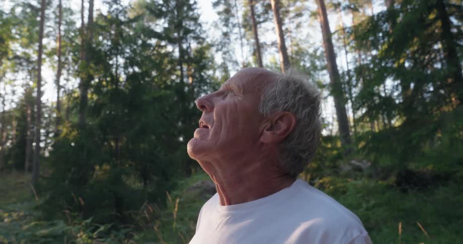 An elderly man stands in a forest and looks up at the sky on a summer day