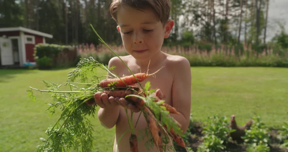 A young boy smells fresh carrots harvested from his backyard garden