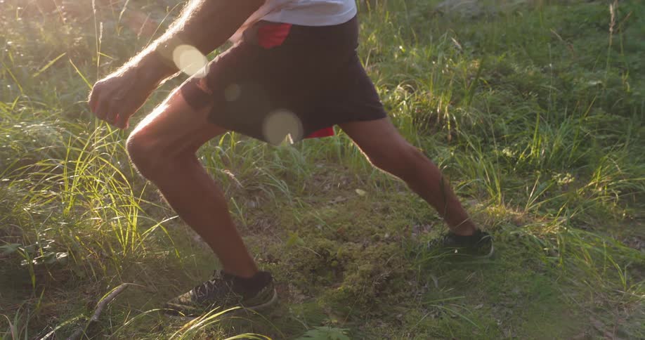 An older man stretches in a forest engaging in a workout or exercise routine