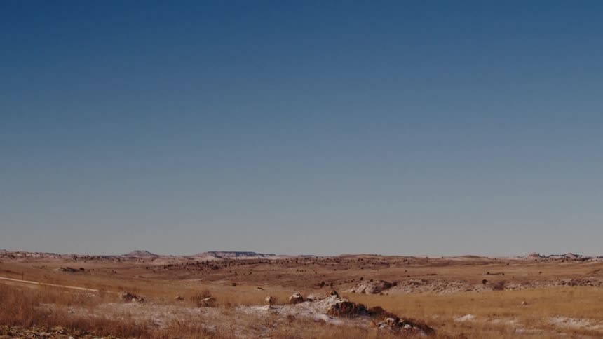 Field with dry low vegetation against a blue sky