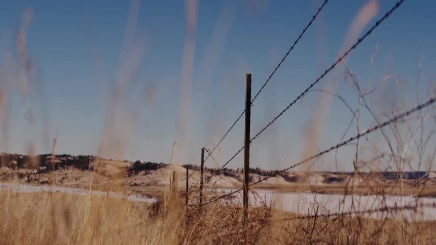 A barbed wire fence with dry grass at its base