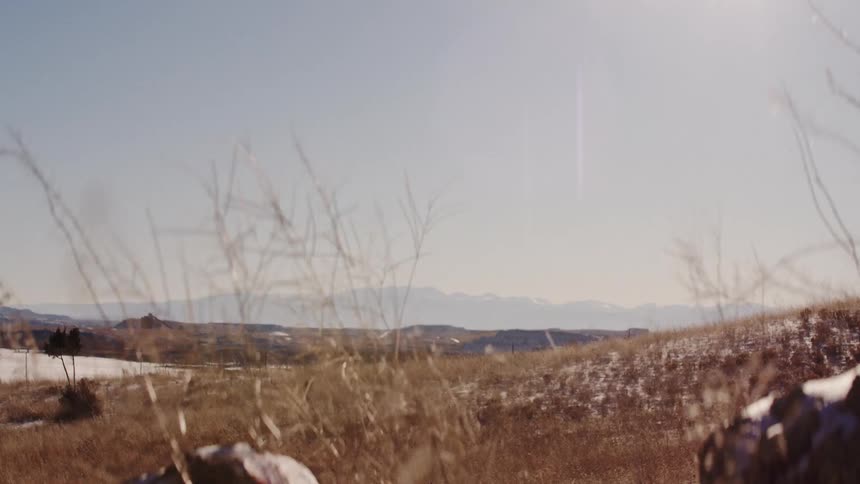 Weeds blowing in the wind on an open prairie with mountains on the horizon