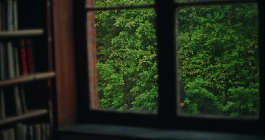An elderly man is walking alongside bushes seen from a glass window with a bookshelf to the left