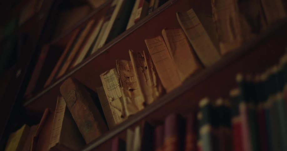 Several books organized on a bookshelf