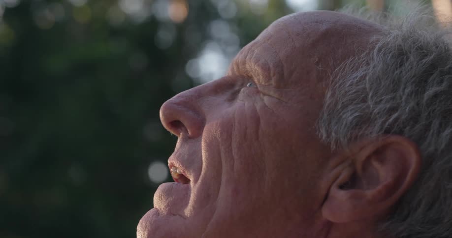 Close up of an elderly mans face looking up at the sky as the sun is shining through the trees