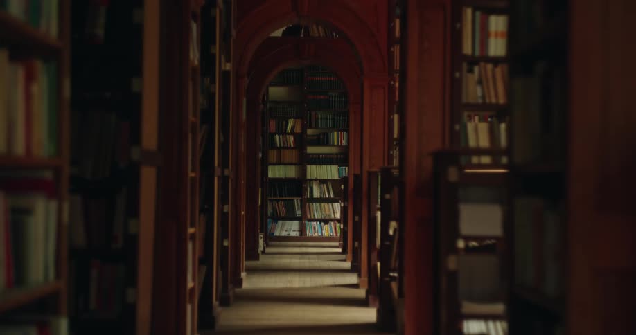 Corridor with several shelves with books in a library