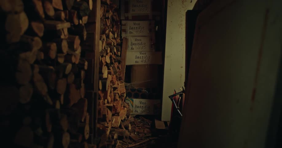 Dimly lit room with a stack of firewood to the left