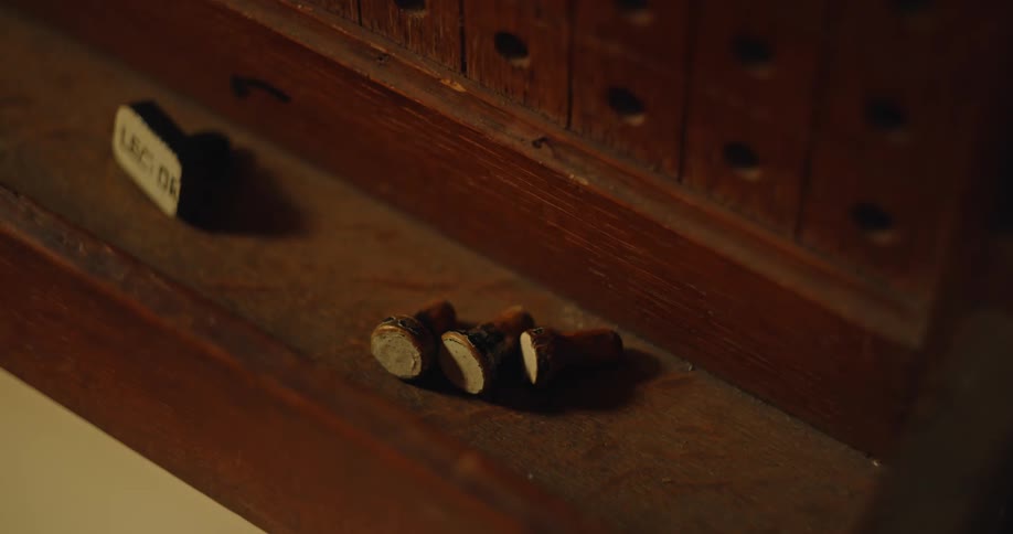 Small woodern pegs lay on a shelf of a registration board