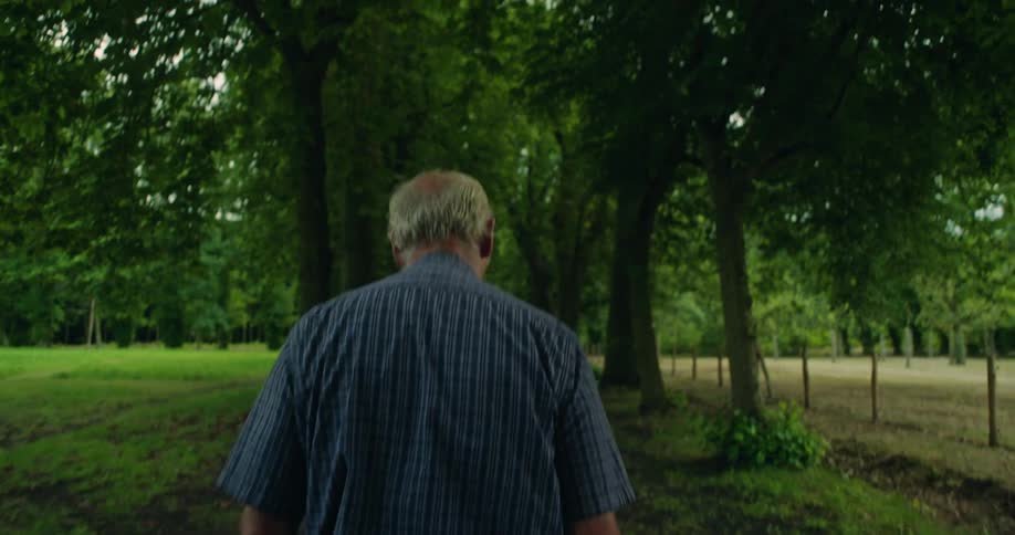 An elderly man is walking with his back turned on a path with trees on the sides