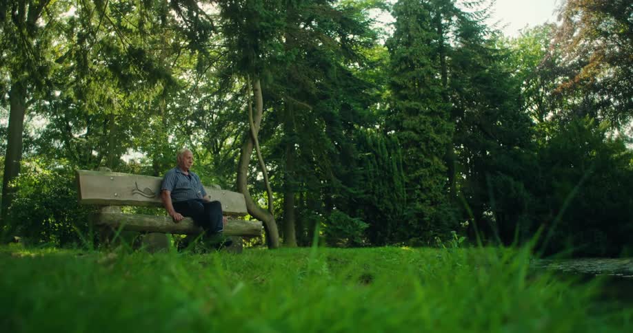 Elderly man sitting on a wooden bench in a place surrounded by trees