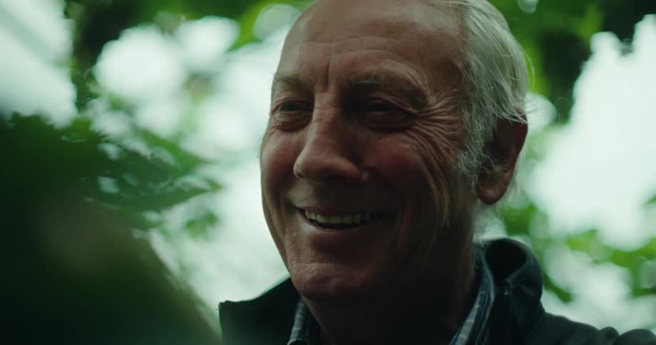 Portrait of a smiling elderly man with green leaves around in a greenhouse