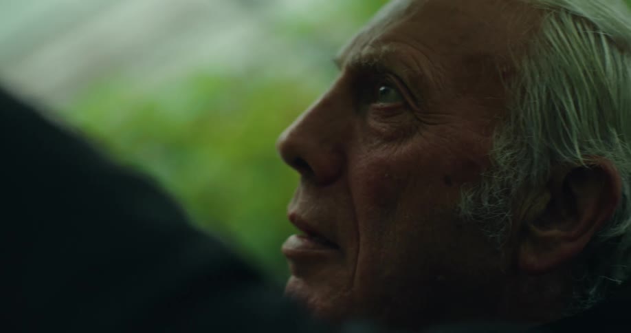 Side portrait of an elderly man in a greenhouse looking up intently as he tends to plants