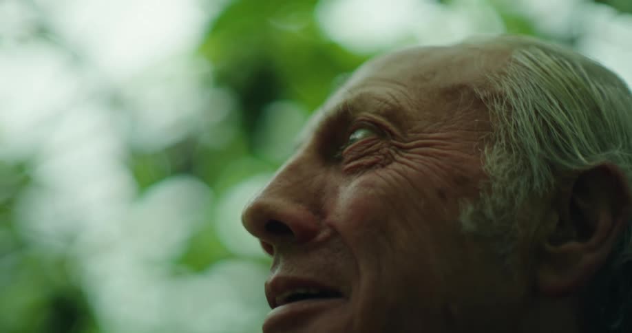 Portrait of an elderly man with a happy facial expression as he looks around a greenhouse