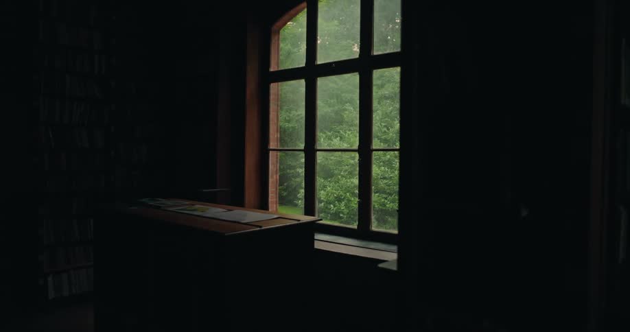 View from a window of a man walking in a green area with trees