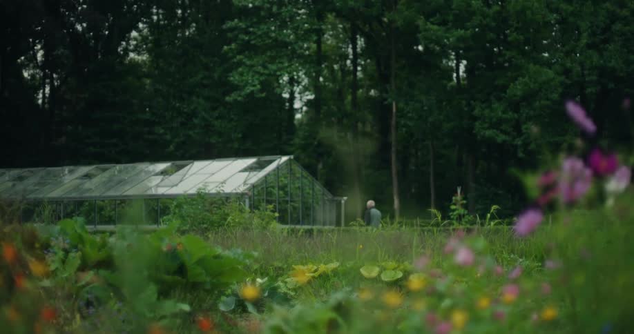 Elderly man walking towards a greenhouse