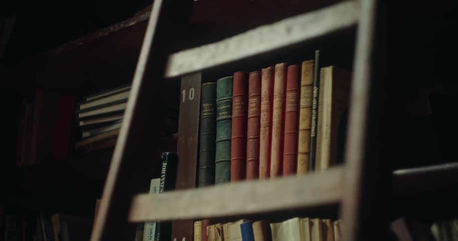 A shelf of old books behind a wooden latter in an old library