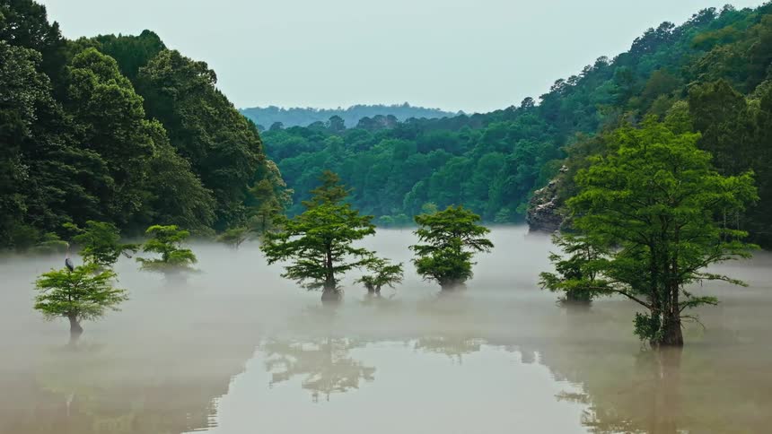 Several trees protrude from a flooding brown river in a mountain valley