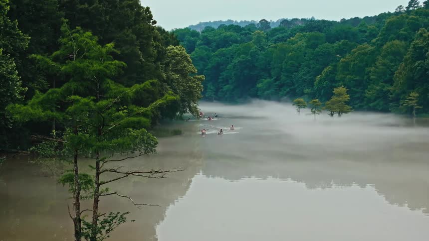 Scene of a brown river surrounded by dense forest