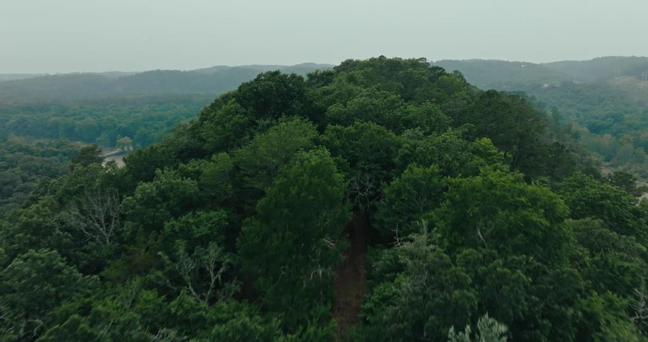 Aerial footage reveals a river winding through a densely forested area