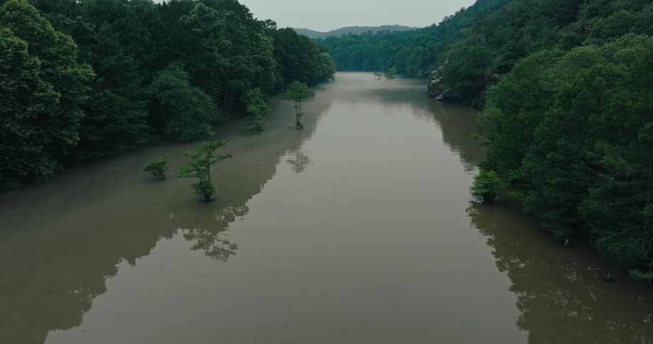 Trees dot the reflective river water flowing through a forest toward the mountains