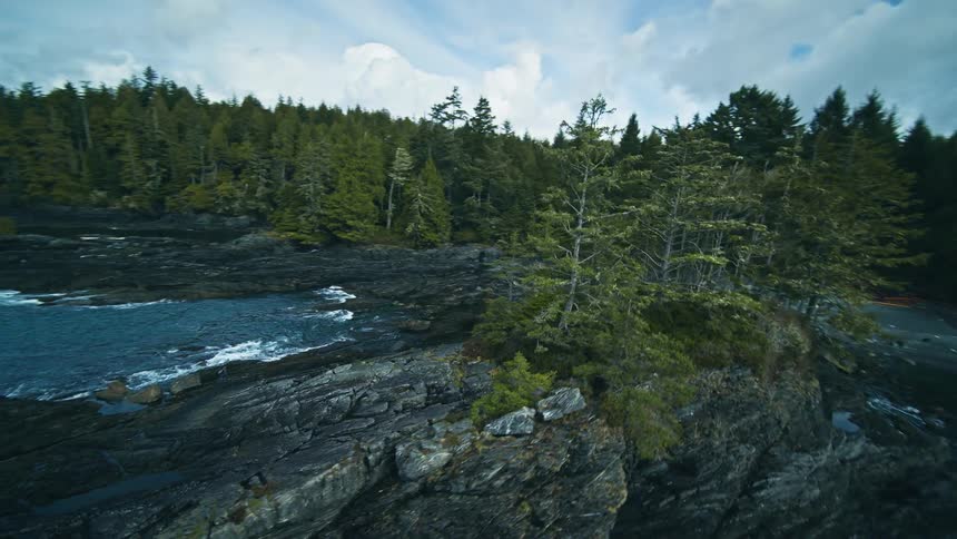Trees grow on an extremely rocky coastline with foaming waves crashing ashore