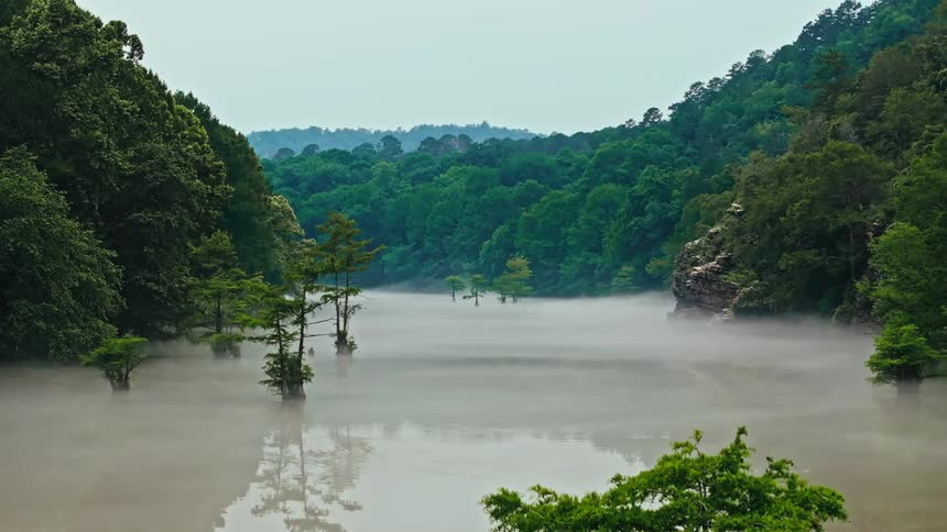A large brown water lake with some trees inside it and there is some fog on its surface and the lake is between the mountains and the forests