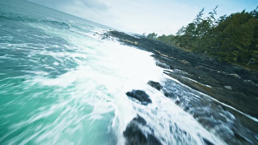 Aerial landscape of rocky coast with coniferous forest and seashore