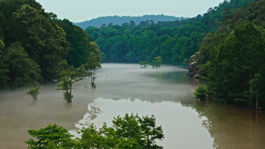 Landscape of a brown river surrounded by a forest