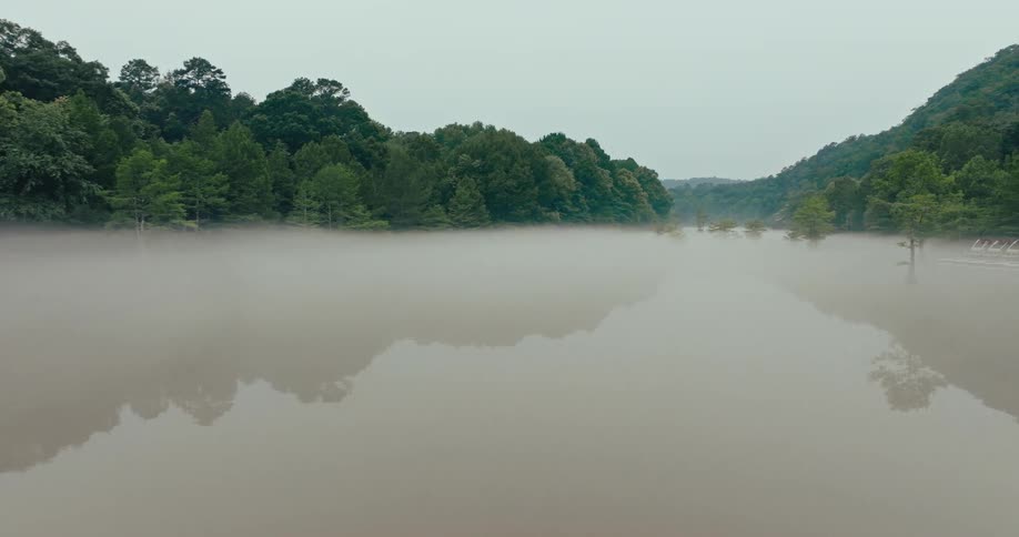 A foggy lake with a lush green forest in the background and a grassy shore
