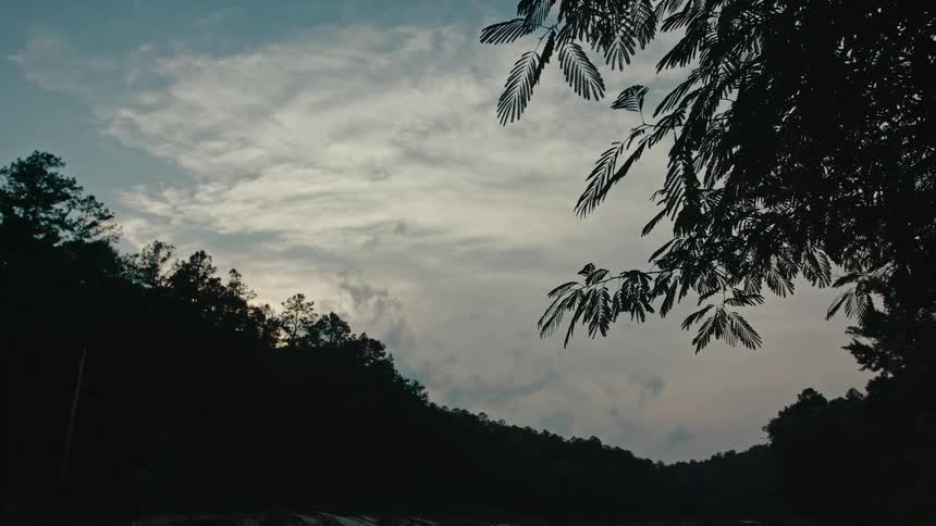 The silhouette of a forest of trees on a clear day with the sky full of white clouds