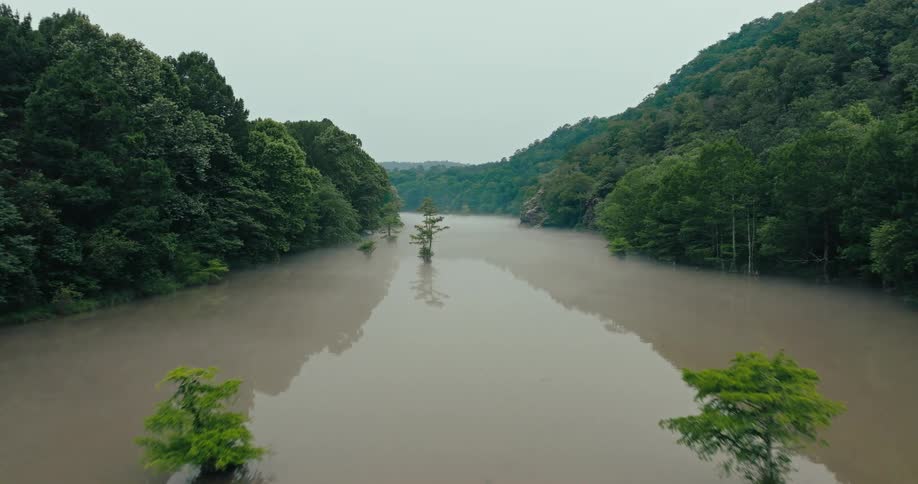Random trees grow in a flooded dark brown river running through a mountain valley