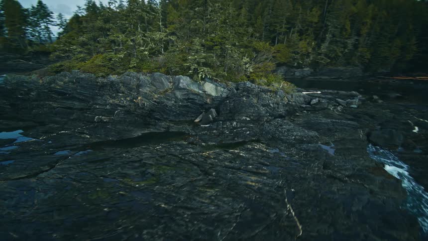 Aerial view of foaming waves crashing against rocky shoreline dotted with vegetation such as conifers
