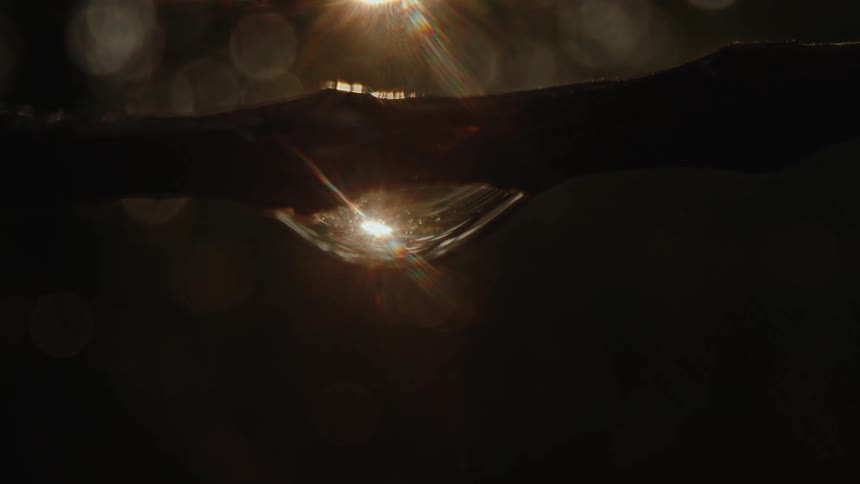 Sunlight reflecting off a water droplet on a tree branch creating a bright and sparkling effect