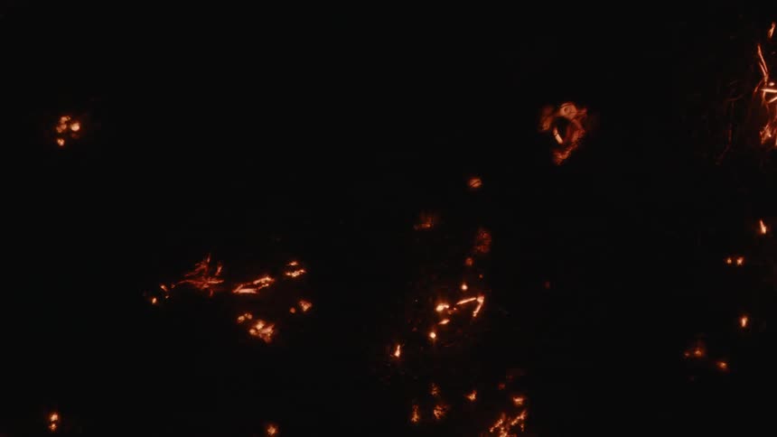 Sparks and embers burn and float outdoors at night