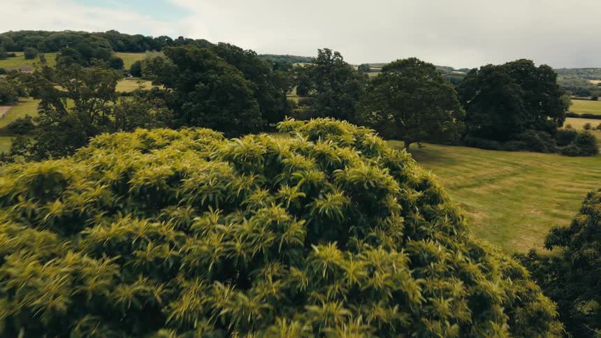 Aerial view of a lush green landscape with patterns of mowed grass and rolling hills in the background