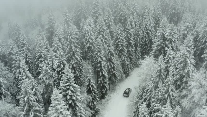 A truck drives through the forest during a winter storm