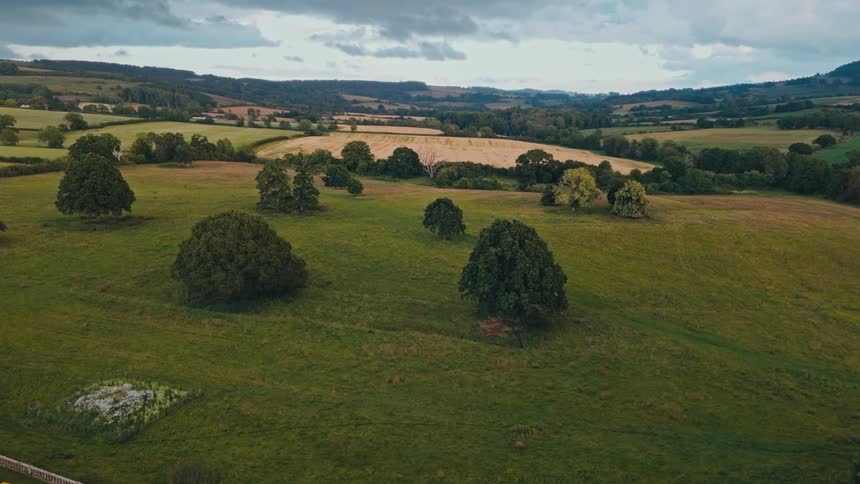 Aerial view of green fields with trees and mountains around