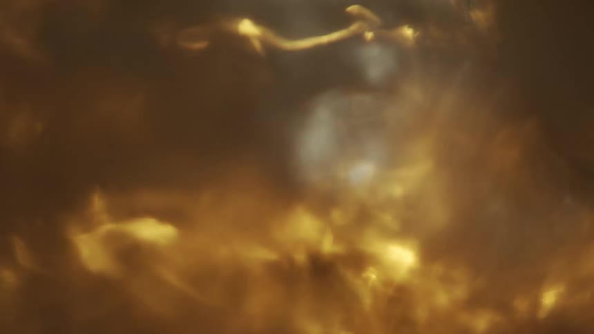 Beer foams and bubbles while being poured into a clear glass