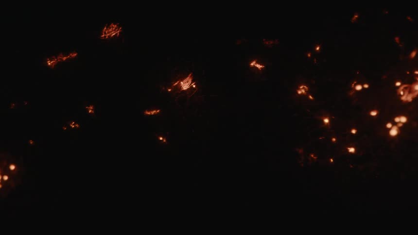 Flames flow through the brush at night as plants catch fire