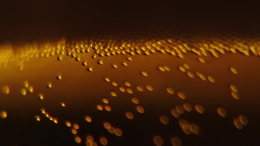 Bubbles float up in the beer